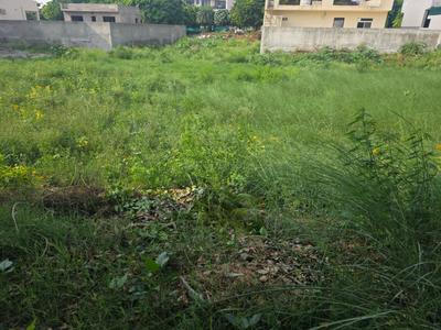 DLF Alameda Plot View 2