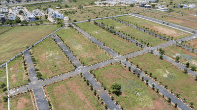 V INFRA Plot View 1