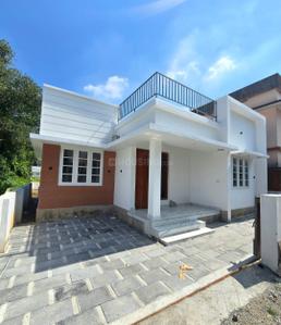 Image of 800 Sq.ft 2 BHK Independent House for sale in Thattampady, Kochi for Rs. 3700000