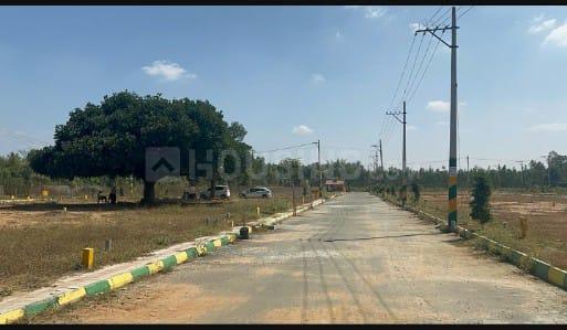 Oscar Sreeganda Layout Main Image 1