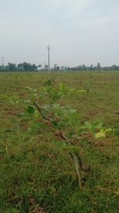Image of 167 Sq.ft Residential Plot / Land for sale in Bhogapuram, Visakhapatnam for Rs. 2672000