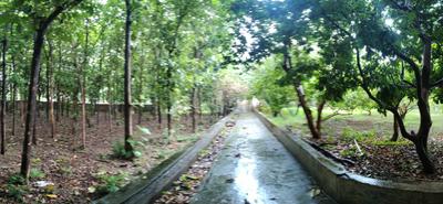 Image of 71041 Sq.ft Residential Plot / Land for sale in Kodiyat, Udaipur for Rs. 190000000