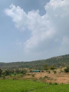 Image of 11000 Sq.ft Residential Plot / Land for sale in Shirvali, Bhor, Pune for Rs. 2080000