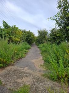 Image of 1169 Sq.ft Residential Plot / Land for sale in Hejjala, Bengaluru for Rs. 3500000