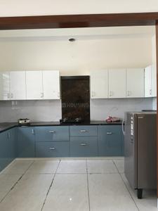 Kitchen Image of 1400 Sq.ft 2 BHK Builder Floor for rent in Sector 89 Mohali for Rs. 27000