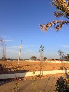 Morsar Plot View 2