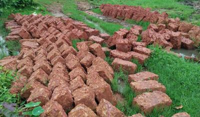 Image of 1500 Sq.ft Residential Plot / Land for sale in Benupur, Bhubaneswar for Rs. 3450000