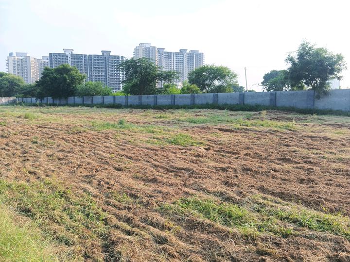 Sector 99 Main Image 1