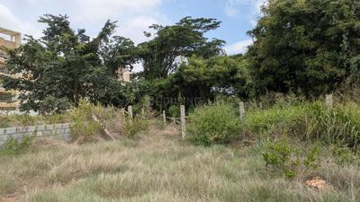 Residential Plot