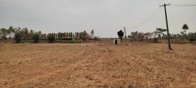Devanahalli Plot View 3
