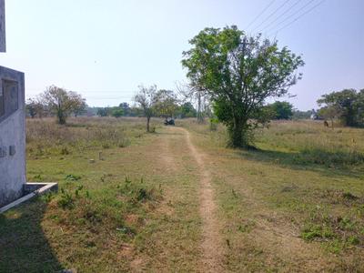 Image of 800 Sq.ft Residential Plot / Land for sale in Mahabalipuram, Chennai for Rs. 1250000