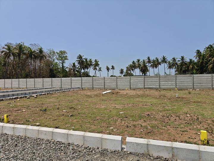 Madanapuram Main Image 1