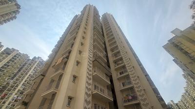 Image of 1275 Sq.ft 2.5 BHK Apartment / Flat for sale in Trident Embassy Reso, Noida Extension, Greater Noida for Rs. 11000000