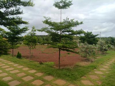 Image of 154 Sq.ft Residential Plot / Land for sale in Kamkole, Sangareddy for Rs. 2310000