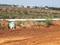 Patrapada Plot View 2