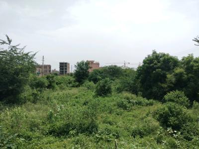 Triveni Galaxy Plot View 2
