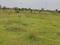ELGI Nagar Main Image 1