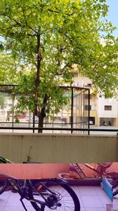 Image of 1350 Sq.ft 3 BHK Apartment / Flat for sale in Daffodils, Magarpatta City, Pune for Rs. 20000000