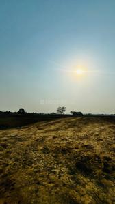Image of 100 Sq.ft Residential Plot / Land for sale in Altus Space Muirwoods, New Chandigarh, Chandigarh for Rs. 10000000