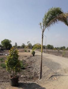 Image of 2350 Sq.ft Residential Plot / Land for sale in Fursungi, Pune for Rs. 4200000