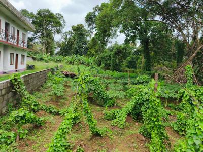 Image of 5880 Sq.ft Residential Plot / Land for sale in Perumbavoor, Kochi for Rs. 6750000