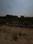 Block C Plot View 2