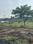 Hingna Plot View 2