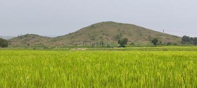 Image of 43560 Sq.ft Residential Plot / Land for sale in Bhagatpur, Cuttack for Rs. 850000