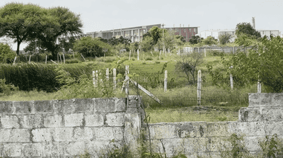 Image of 1557 Sq.ft Residential Plot / Land for sale in Kothur, Kandukur, Hyderabad for Rs. 4151827