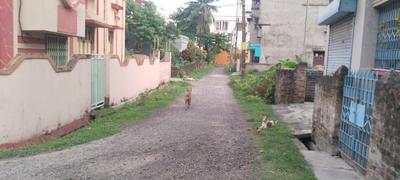 Gopalpur Gram More Images 2