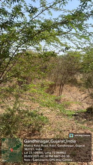 Nirvana Main Image 1