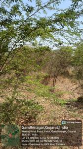 Residential Plot