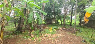 Cherpu Plot View 2