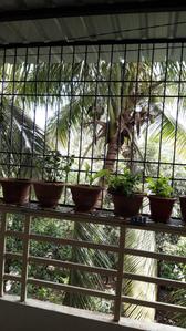 Balcony Image of 680 Sq.ft 1 BHK Apartment / Flat for sale in Hindustan Pancharatna Park, Malkapur Satara for Rs. 2700000
