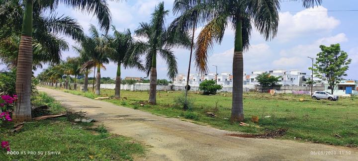 Hinnakki Main Image 1