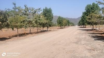 GOWTHAMI VALLEY VIEW Plot View 2