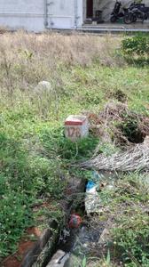 Image of 1040 Sq.ft Residential Plot / Land for sale in Kinathukadavu, Coimbatore for Rs. 1700000