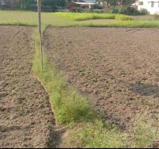 Mohanlalganj Plot View 1