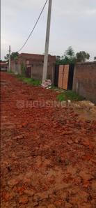 Naubatpur Plot View 1