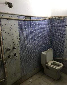 Bathroom Image of 800 Sq.ft 3 BHK Builder Floor for rent in Chinar Apartment, Jamia Nagar New Delhi for Rs. 20000