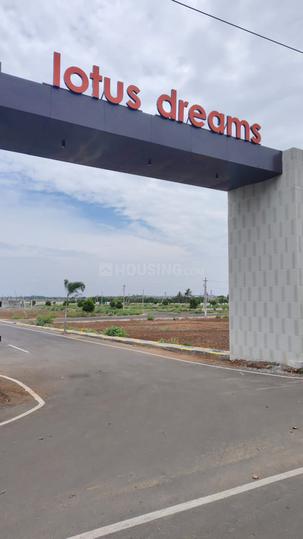 Lotus Dreams pappampatti  Main Image 1
