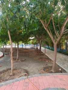 Image of 1210 Sq.ft Residential Plot / Land for sale in Mihan, Nagpur for Rs. 4277000