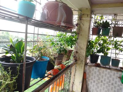 Balcony Image of 1050 Sq.ft 2 BHK Apartment / Flat for sale in Pansas Green View Residency, Benachity Durgapur for Rs. 2650000