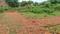 Salarpur Plot View 1
