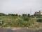 Triveni Galaxy Plot View 1