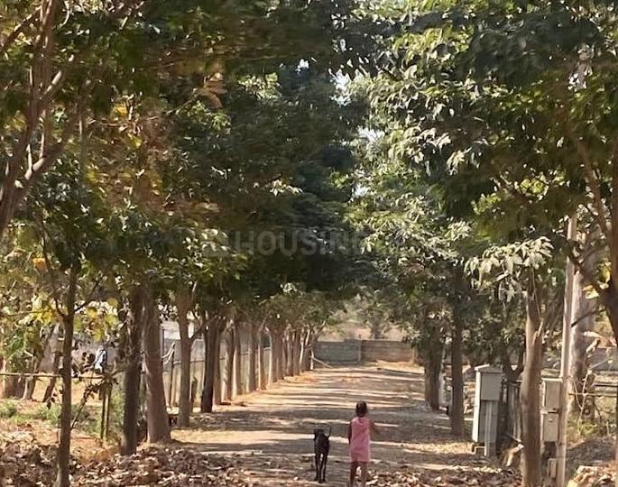 Devanahalli Main Image 1