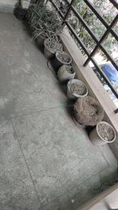 Image of 1200 Sq.ft 2.5 BHK Builder Floor for sale in Sector 49, Gurgaon for Rs. 19500000