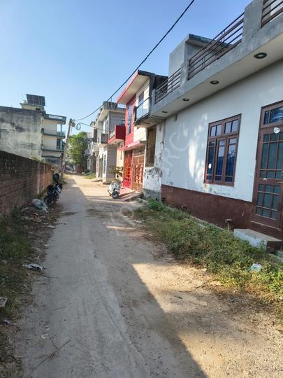 Dhandera Main Image 1