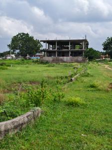 Tricolour properties pvt Ltd Plot View 2
