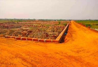 Patrapada Plot View 1